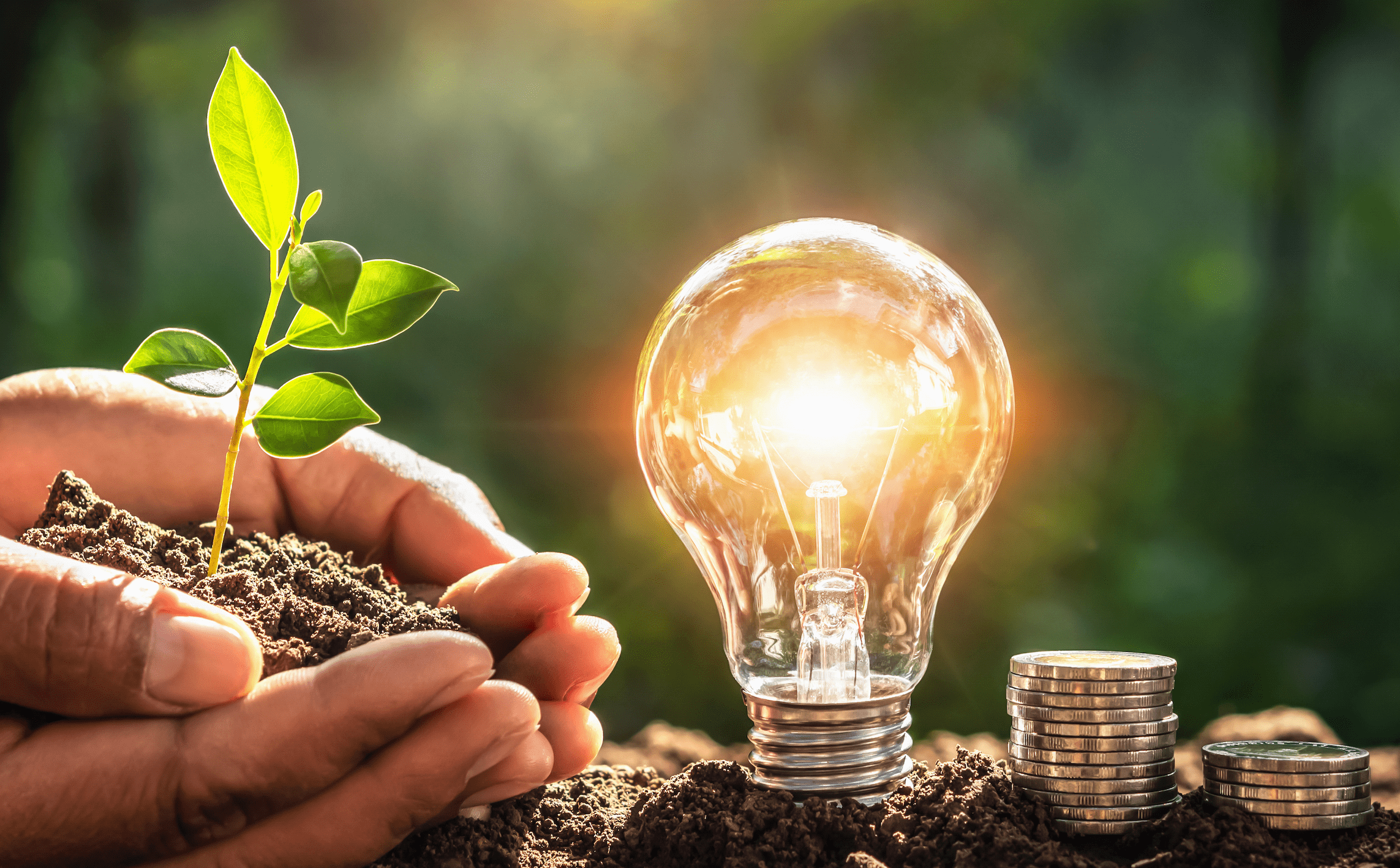 Screenshot 2024 03 12 at 10.03.32 AM