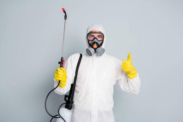 pest control business